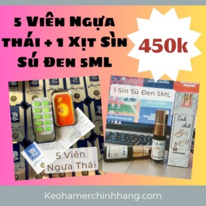 ngựa thái đà nẵng