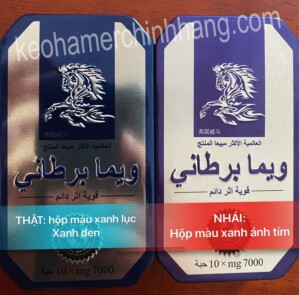 ngựa thái đà nẵng