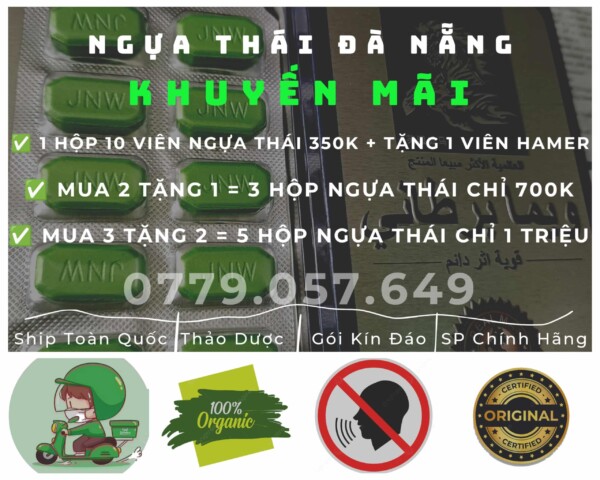 ngựa thái đà nẵng
