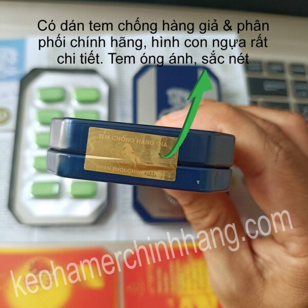 ngựa thái đà nẵng