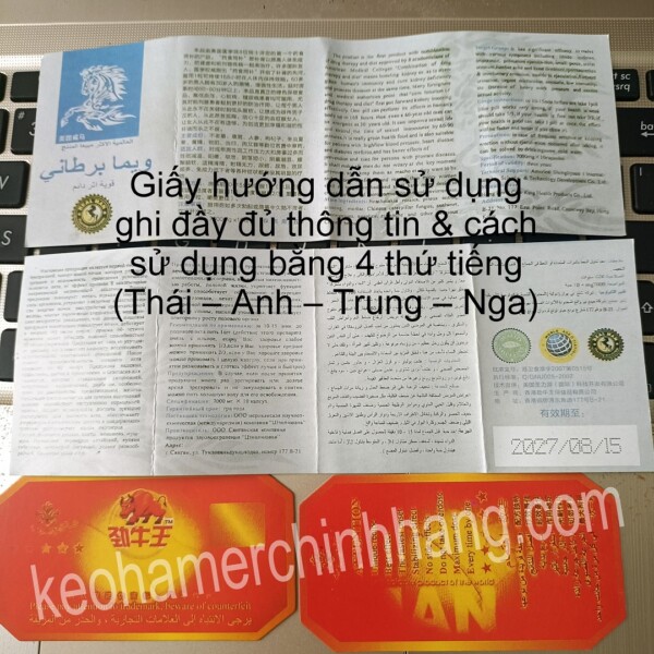 ngựa thái đà nẵng