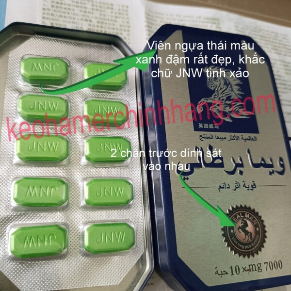 ngựa thái đà nẵng