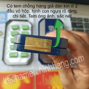 ngựa thái đà nẵng