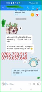 review ngựa thái