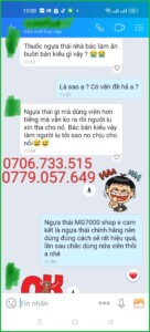 ngựa thái đà nẵng
